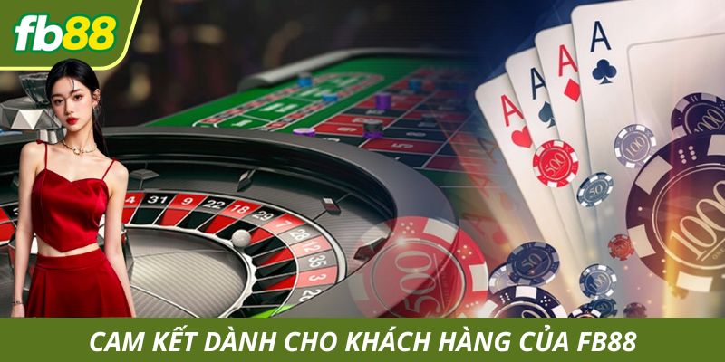 Cam kết dành cho người dùng trong tương lai